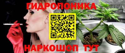 гашик Балахна