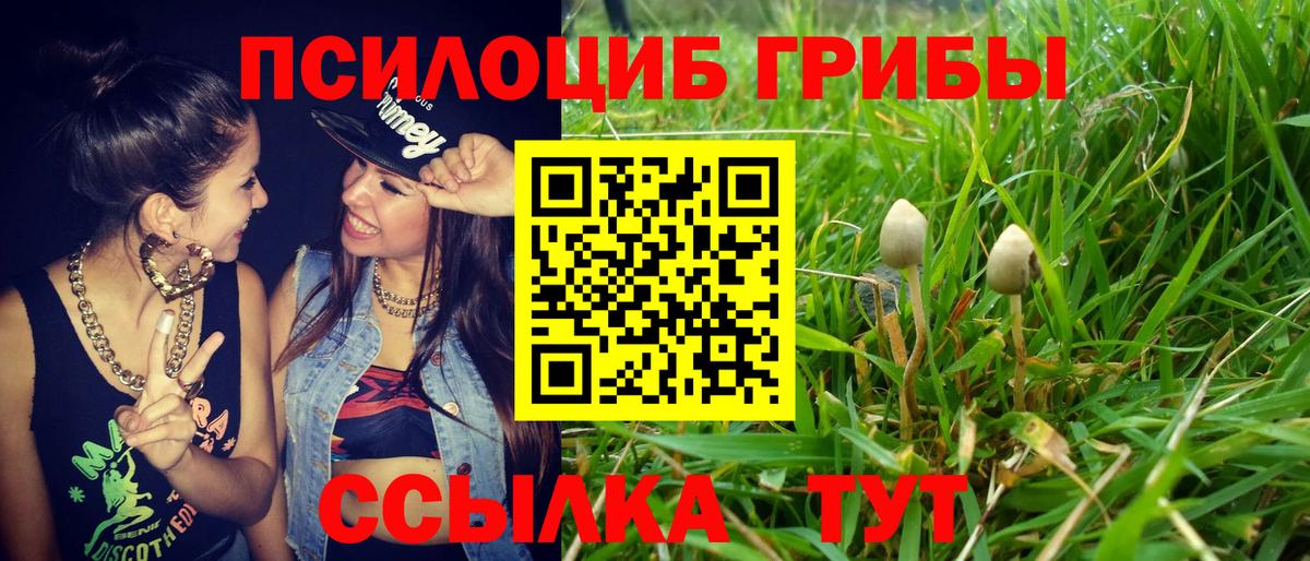 Псилоцибиновые грибы прущие грибы  как найти закладки  Вход с VPN  Грозный  Псилоцибиновые грибы GOLDEN TEACHER 