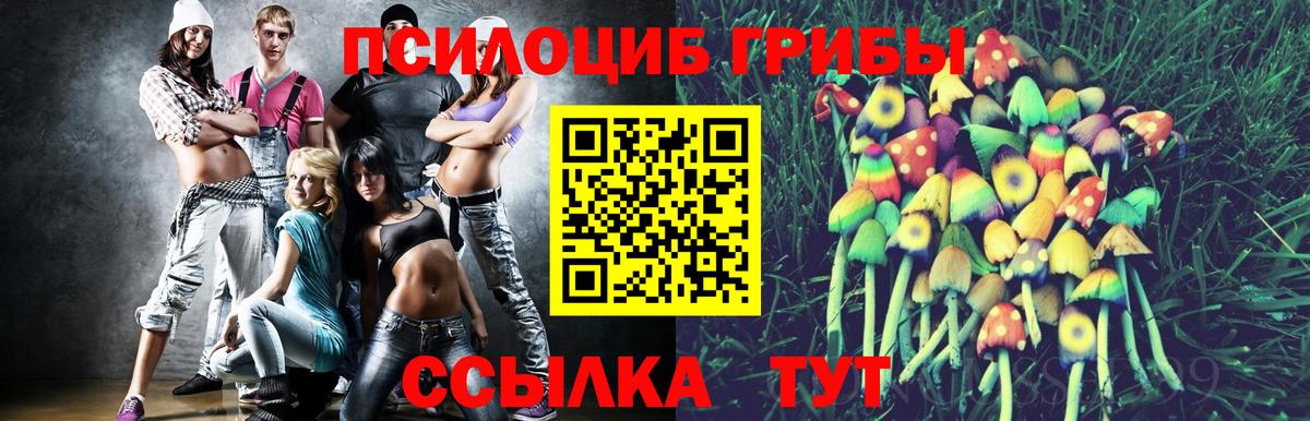 Псилоцибиновые грибы прущие грибы Грозный